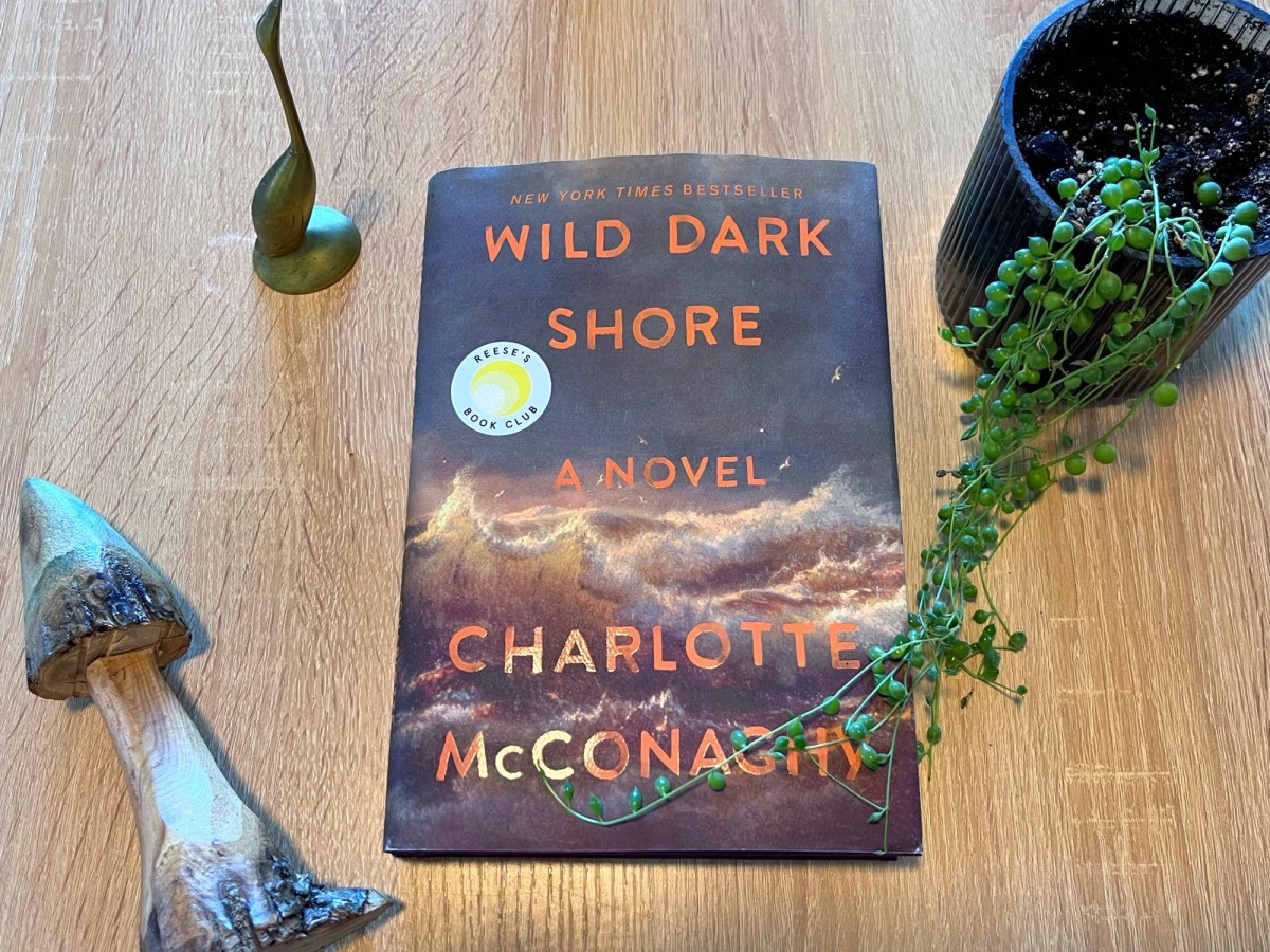 Book Review: Wild Dark Shore by Charlotte&nbsp;McConaghy