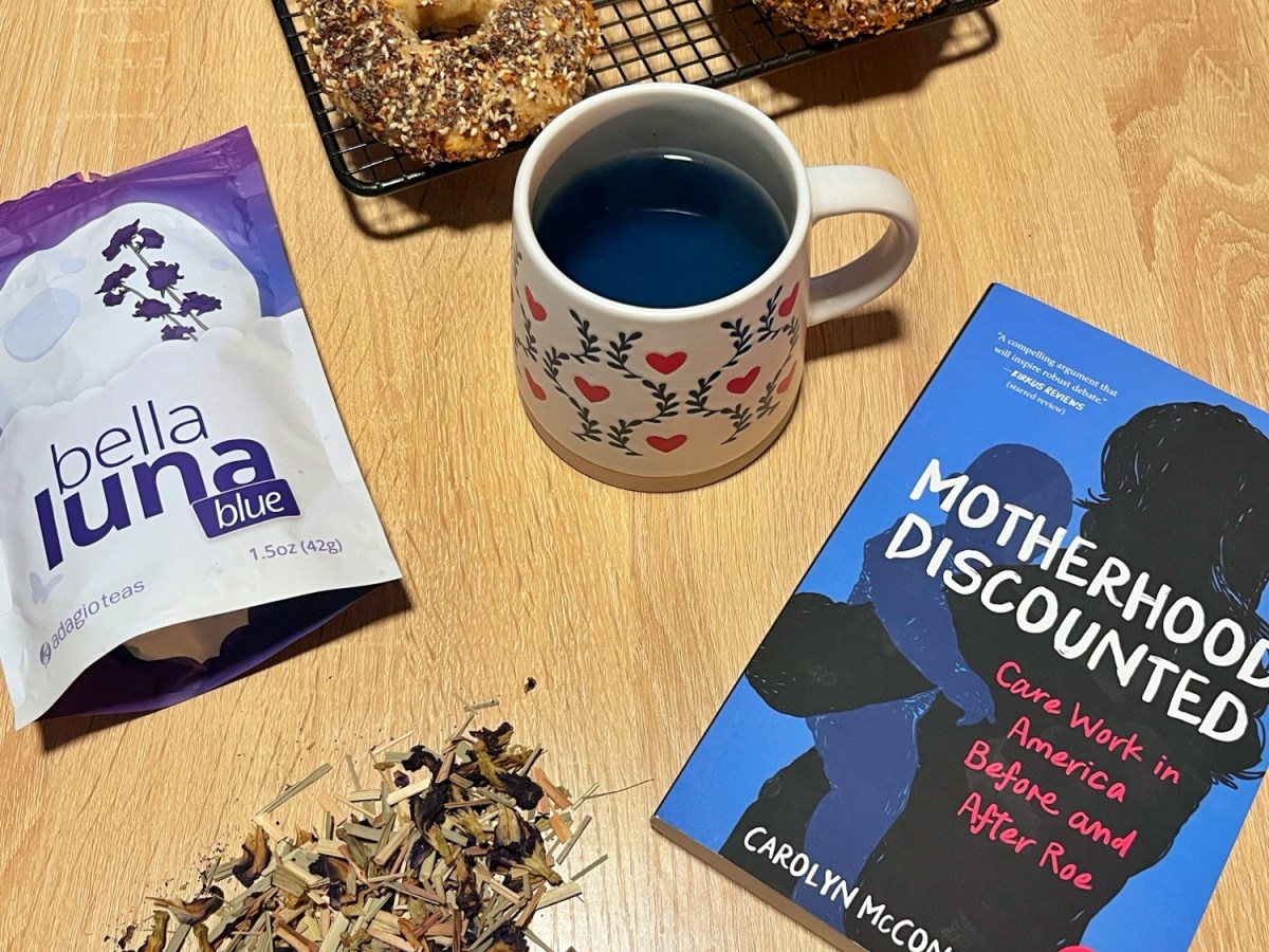 Book Review: Motherhood Discounted by Carolyn&nbsp;McConnell